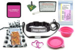 pet airline kit with collar leash