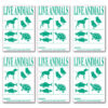 Iata Live Animal Species Shipping Labels 