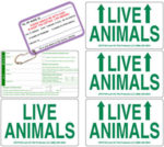 live animal sticker set