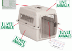 Deluxe LIVE ANIMAL Label set of 5 – $3.49 FREE SHIPPING | KCPET