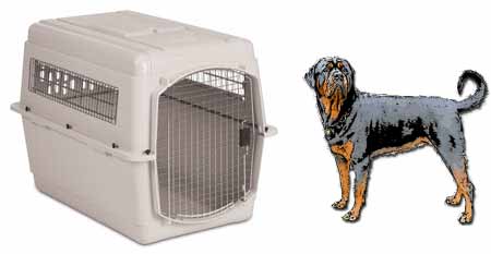 plastic dog kennel sizes