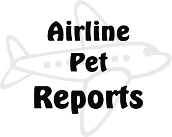 Pet Airline Incidents Reports