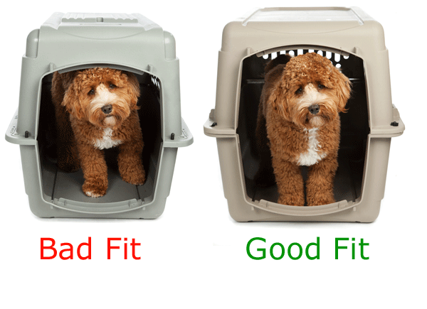 giant dog crate airline approved