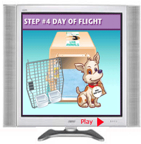 DryFur® Deluxe Pet Airline Travel Kit Instructions Tips