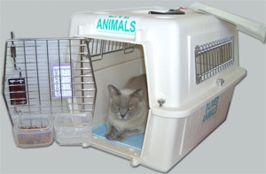 Acclimating your PET cat or dog to Airline Crate