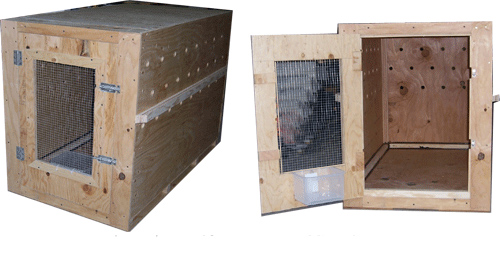 Building a Custom – Wood Pet Shipping Crate