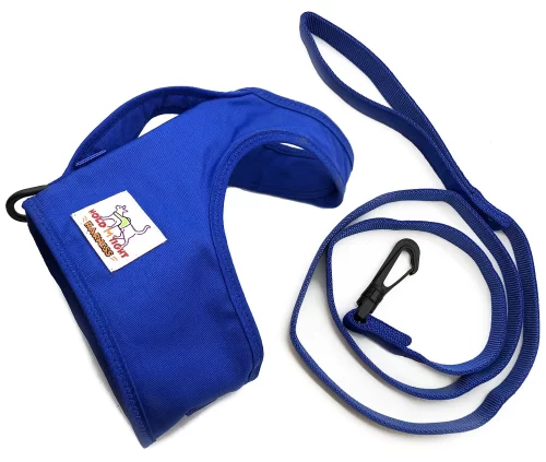 blue metal free airport cat harness leash